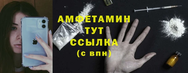 соль ск Ельня