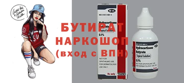 соль ск Ельня
