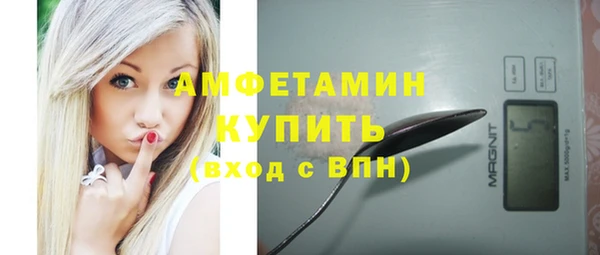 соль ск Ельня