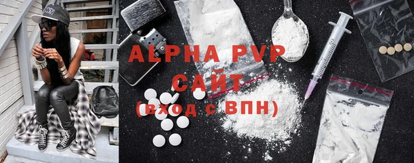соль ск Ельня