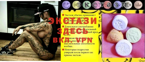 соль ск Ельня