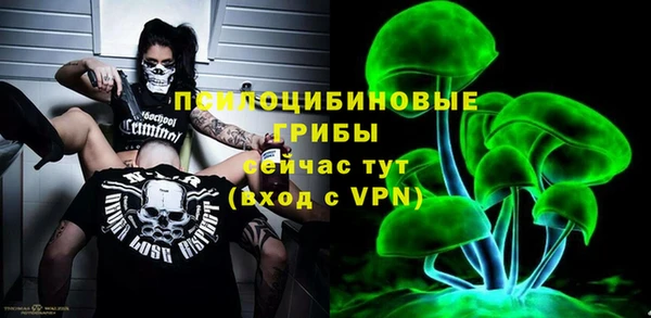 соль ск Ельня