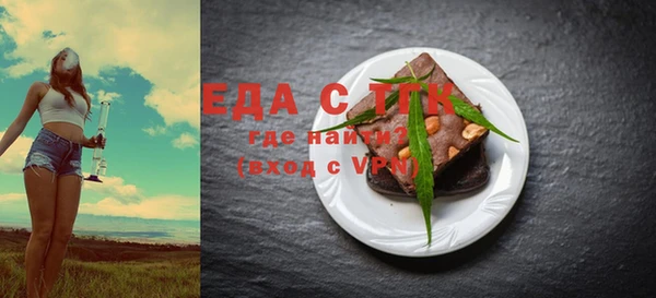 соль ск Ельня