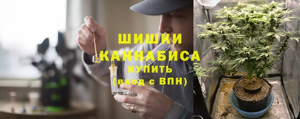соль ск Ельня