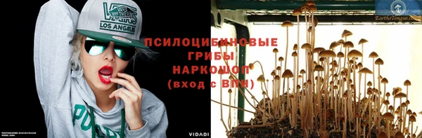 соль ск Ельня