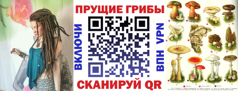 где купить наркоту  Заполярный  Псилоцибиновые грибы MAGIC MUSHROOMS 